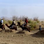 شتر سواری منطقه ی مصر 